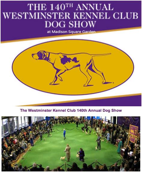 Westminster kennel - Feb 13, 2024 · The Westminster Kennel Club, established in 1877, is America's oldest organization dedicated to the sport of showing dogs. It hosts the iconic, all-breed Westminster Kennel Club Dog Show, the ... 